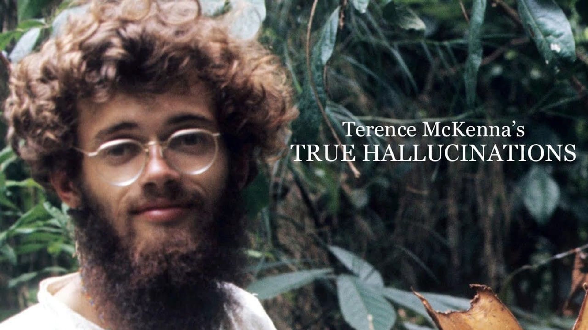 Terence McKenna's True Hallucinations background