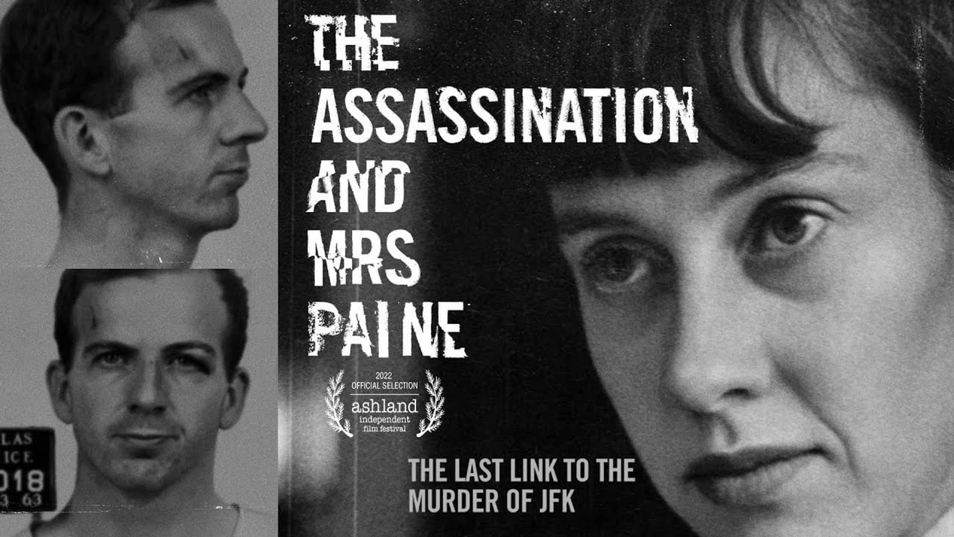 The Assassination & Mrs. Paine background