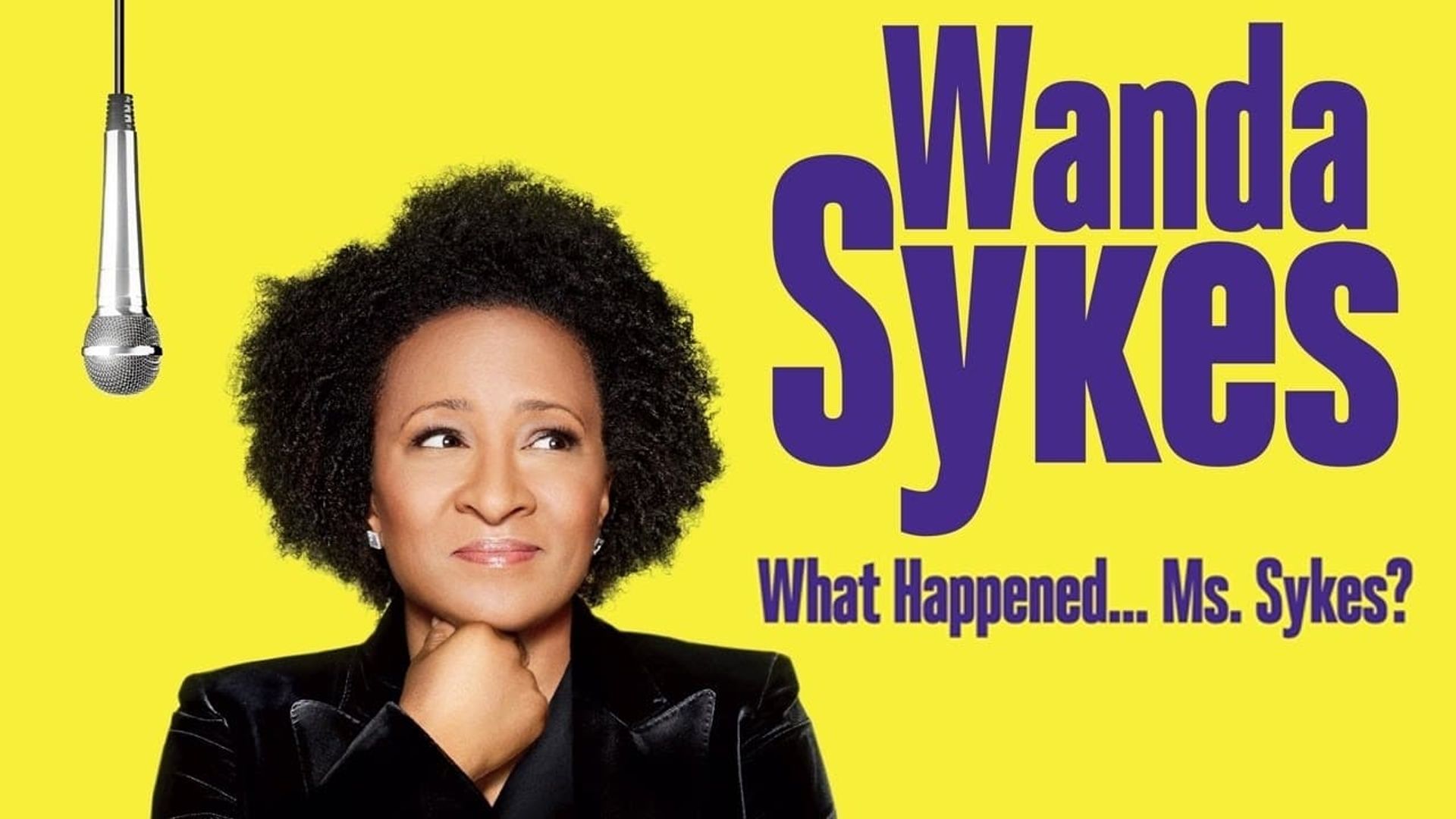 Wanda Sykes: What Happened... Ms. Sykes? background