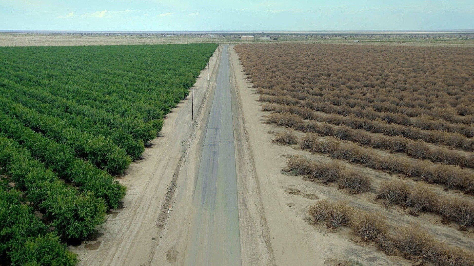 Water & Power: A California Heist background