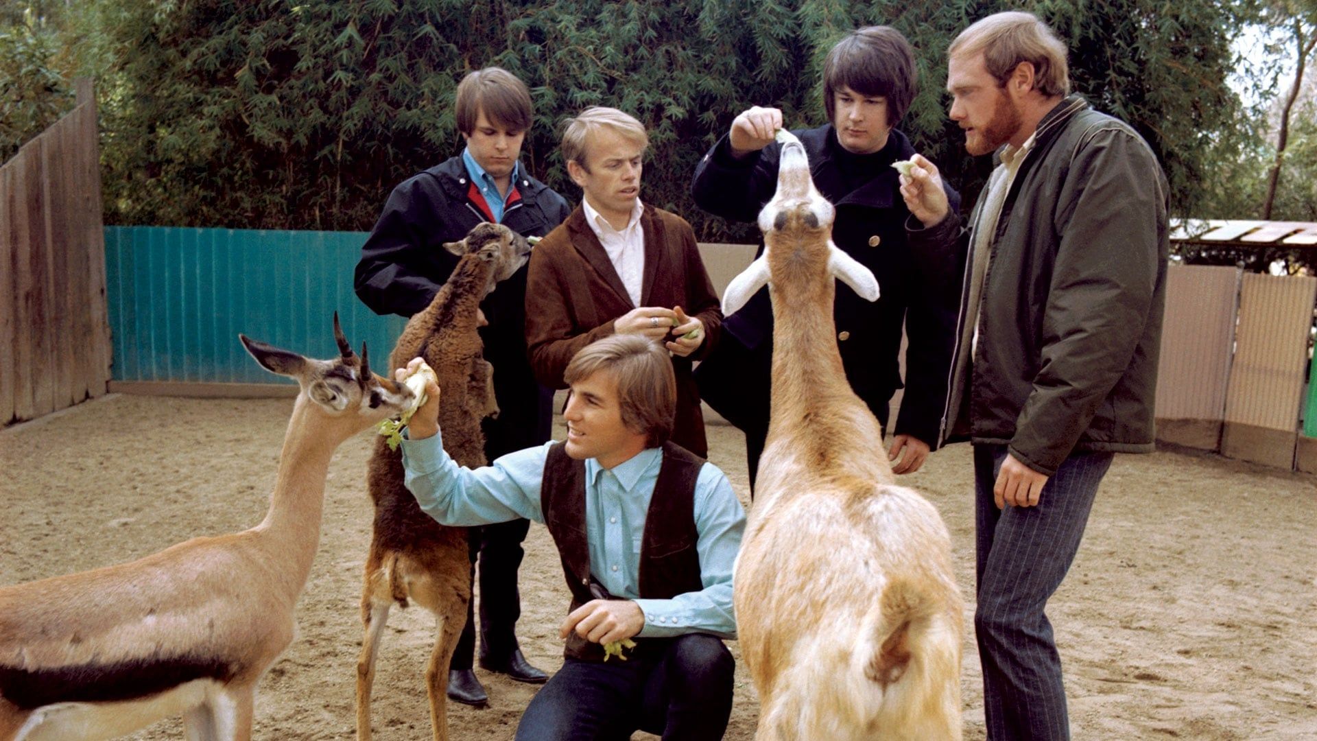 The Beach Boys: Making Pet Sounds background