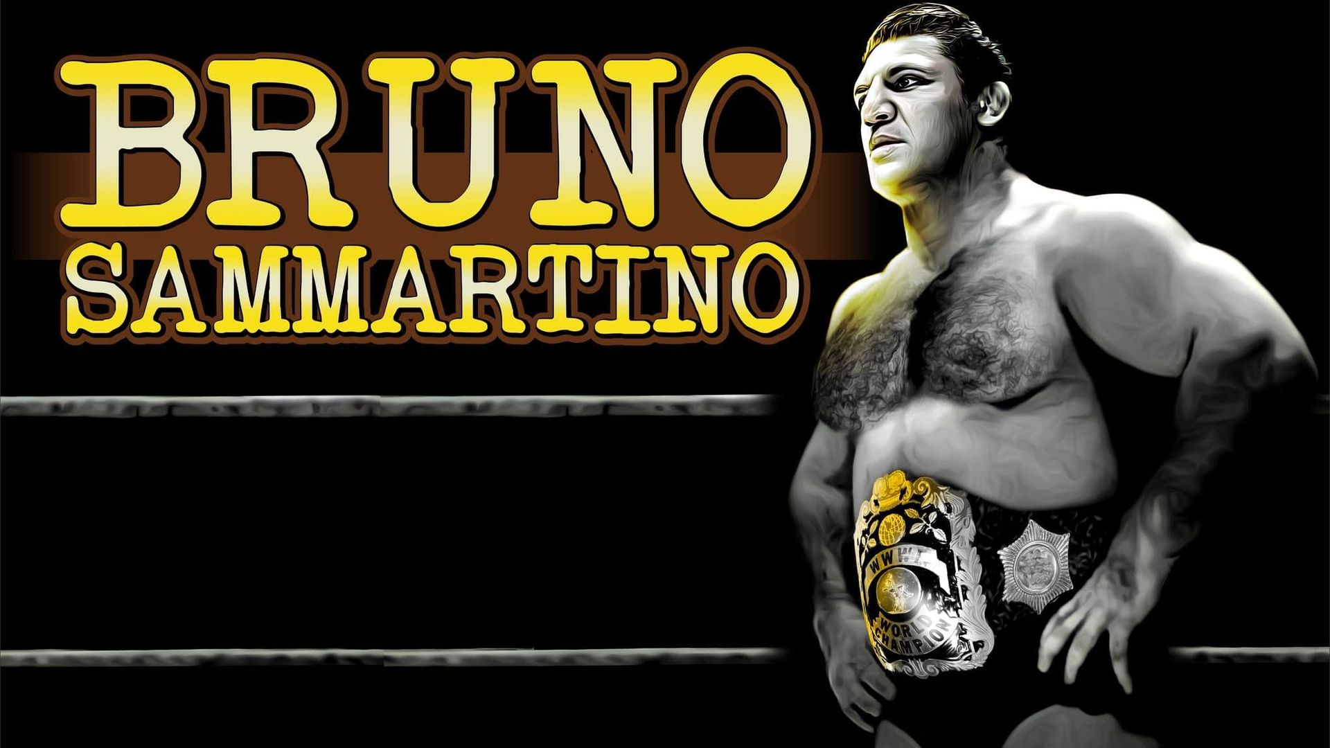 Bruno Sammartino background