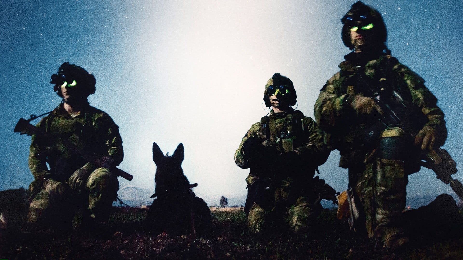 War Dog: A Soldier's Best Friend background