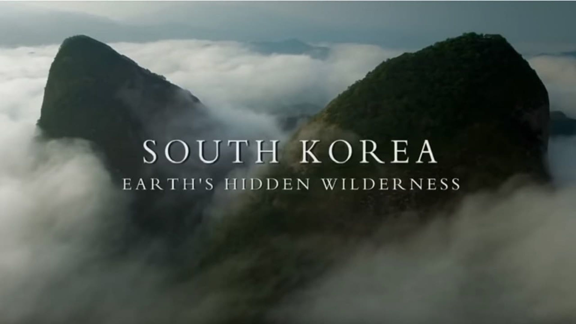 South Korea: Earth's Hidden Wilderness background