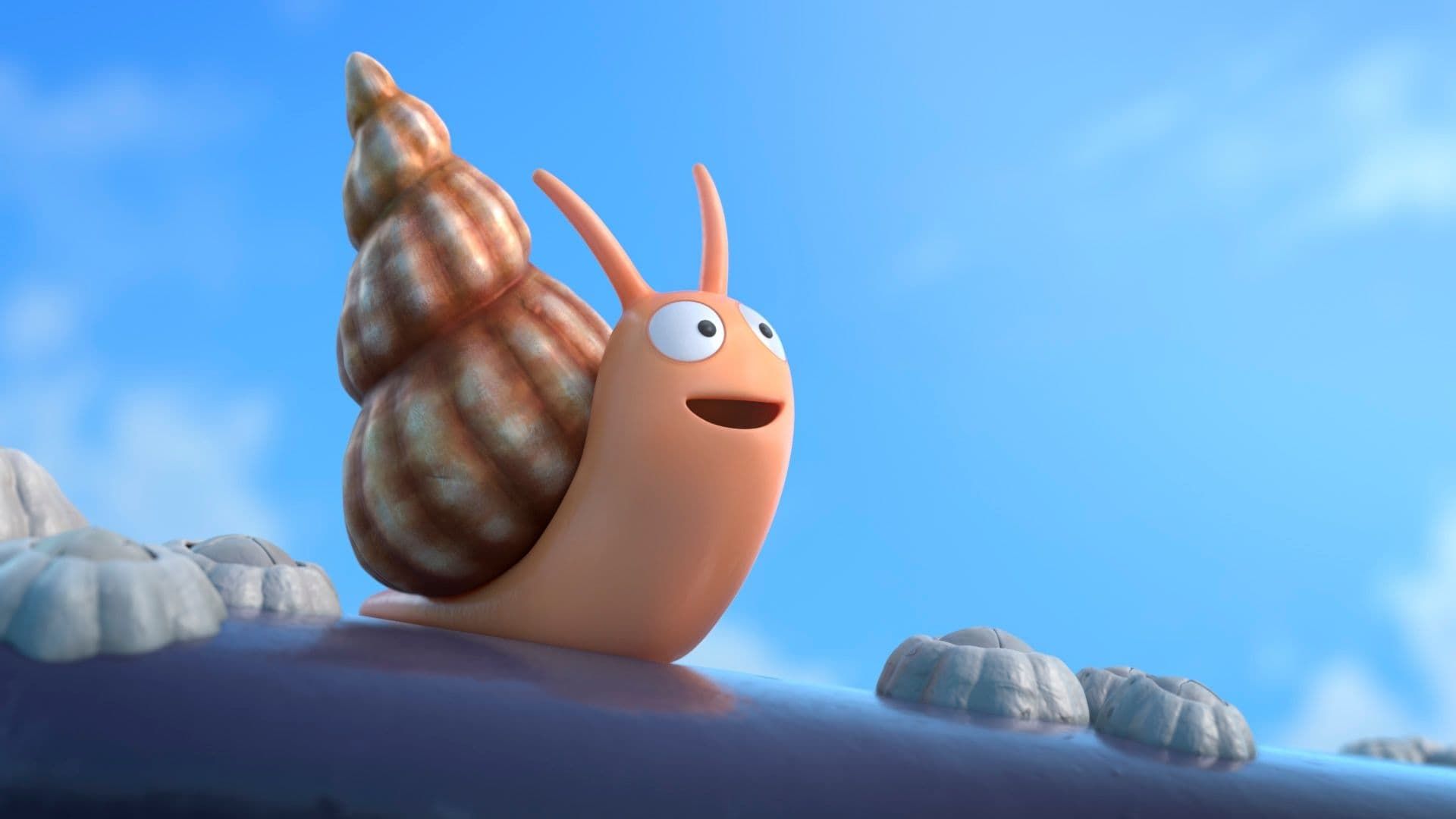 The Snail and the Whale background