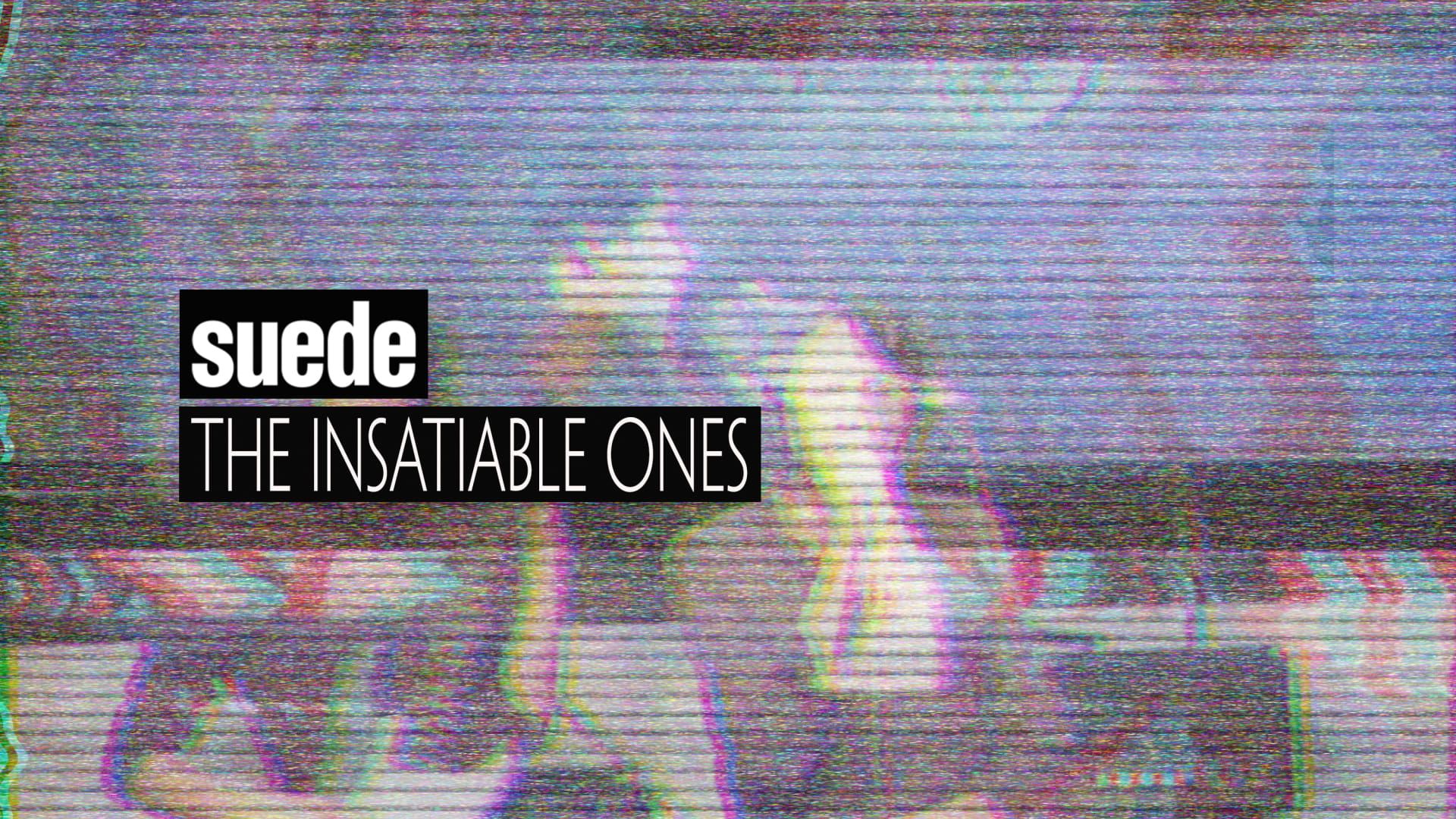 Suede: The Insatiable Ones background