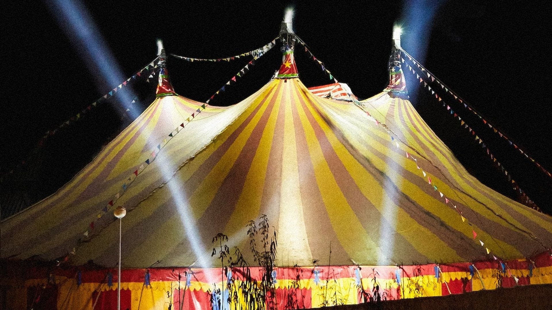 The Circus background