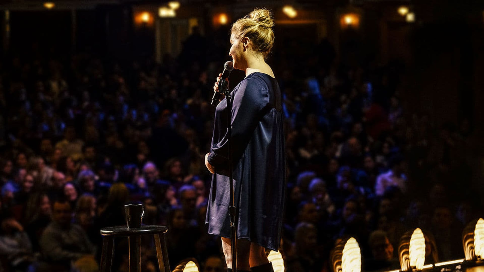 Amy Schumer: Growing background