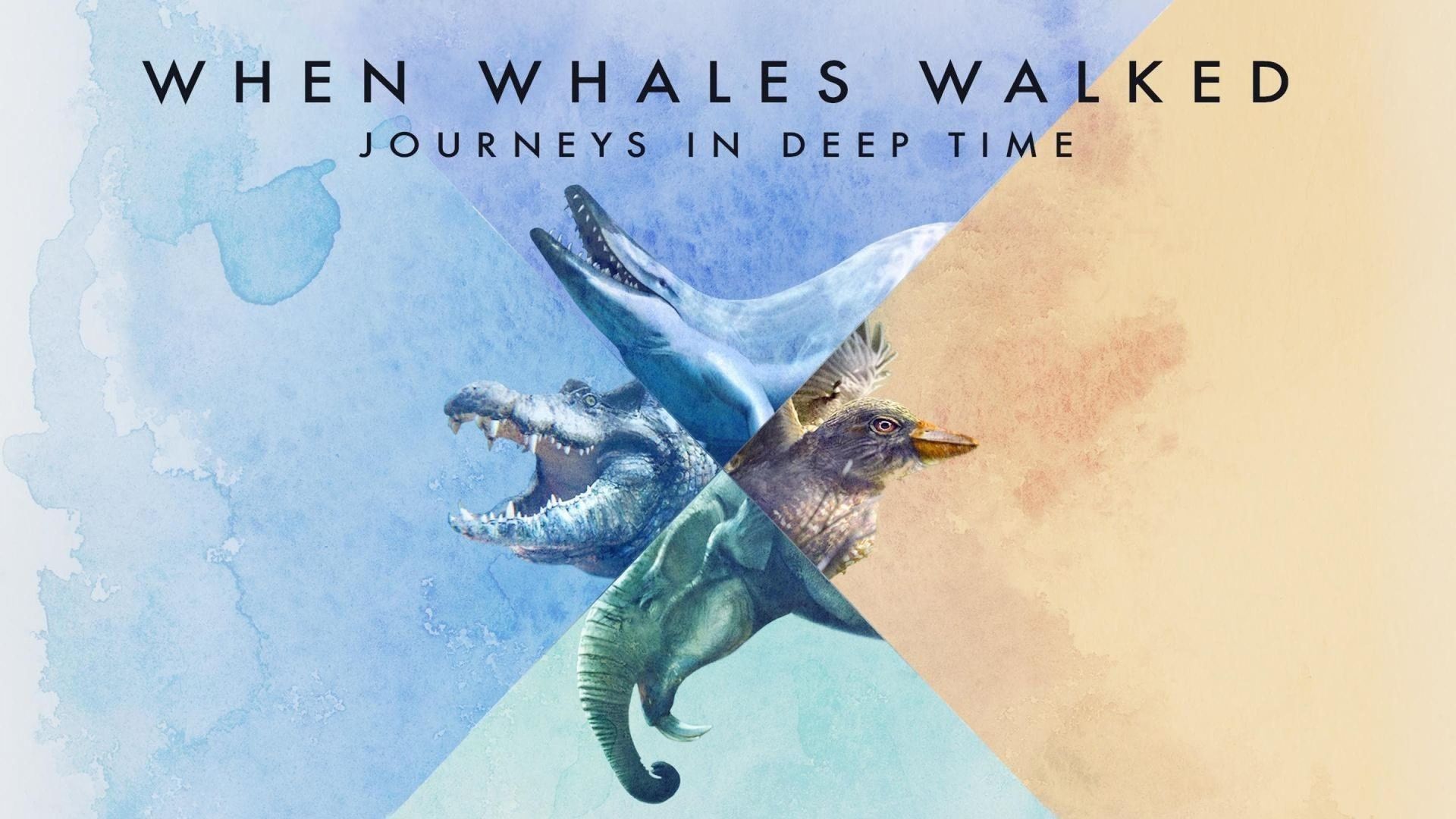 When Whales Walked: Journeys in Deep Time background
