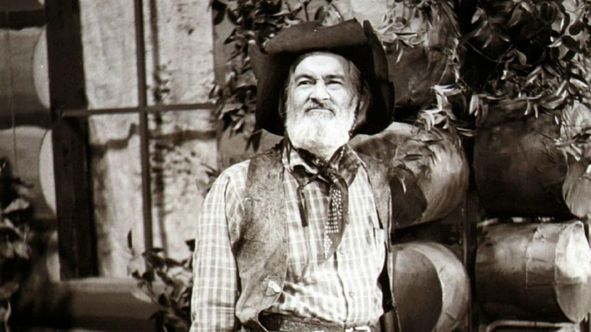 The Gabby Hayes Show background
