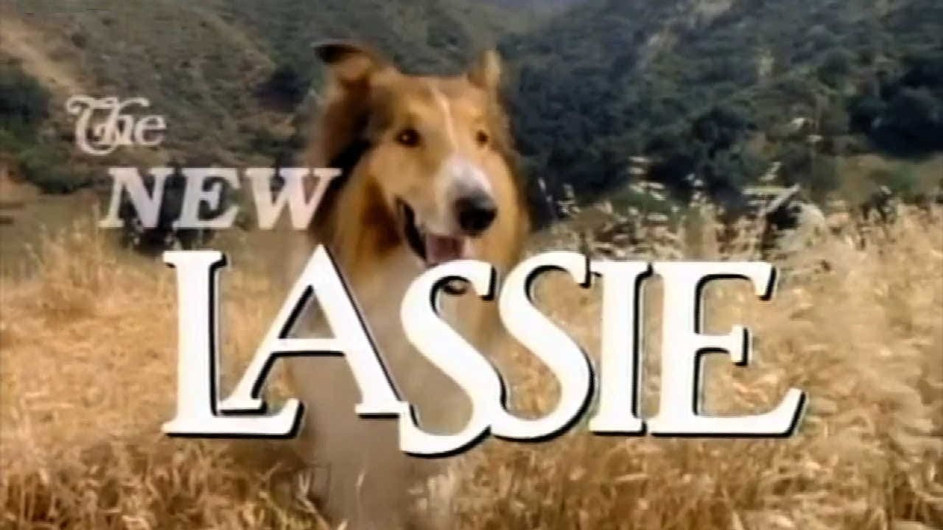 The New Lassie background