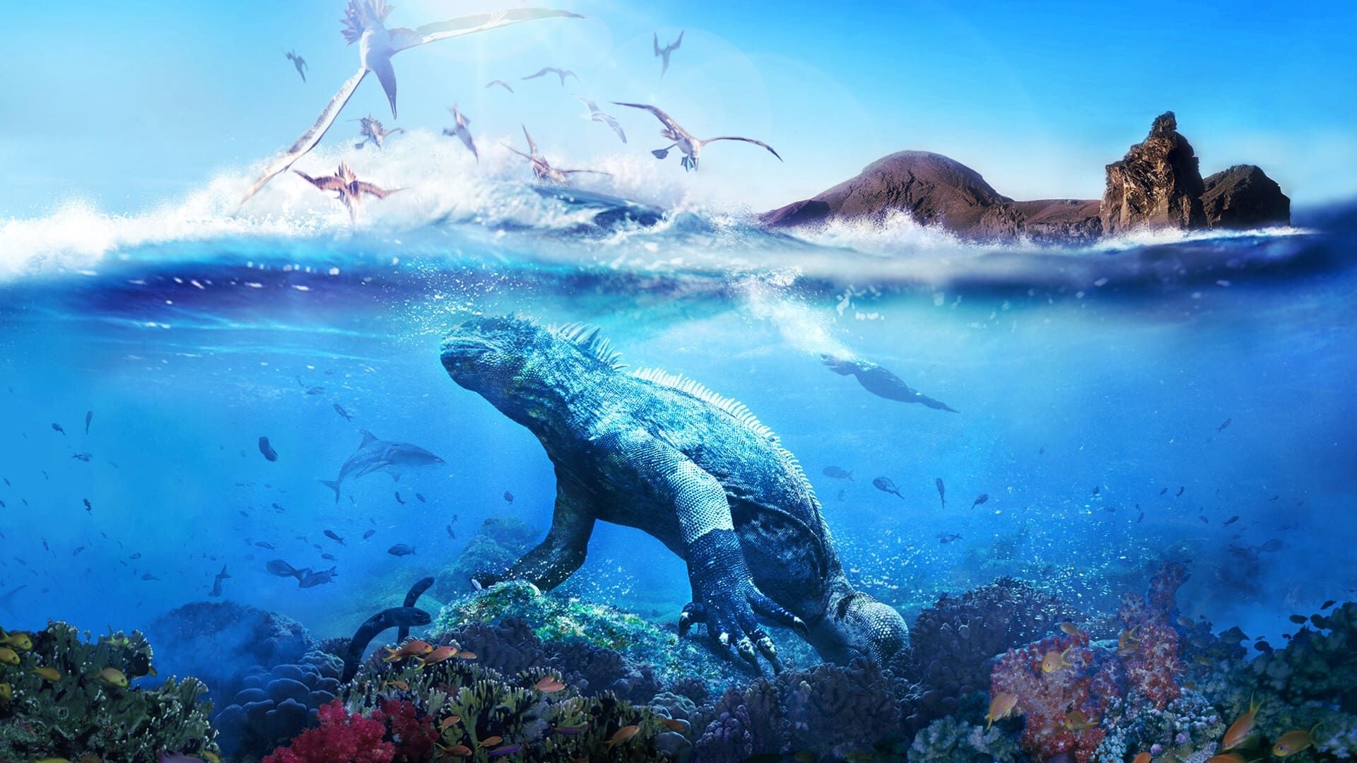 Galapagos background