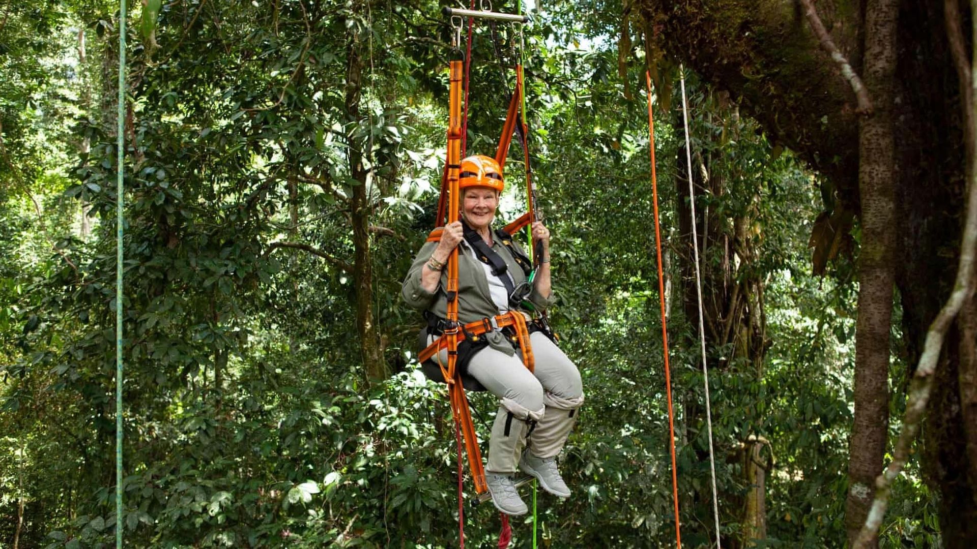Judi Dench's Wild Borneo Adventure background