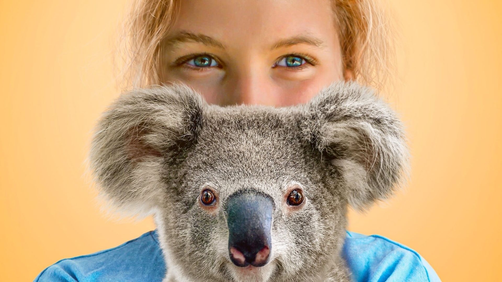 Izzy's Koala World background