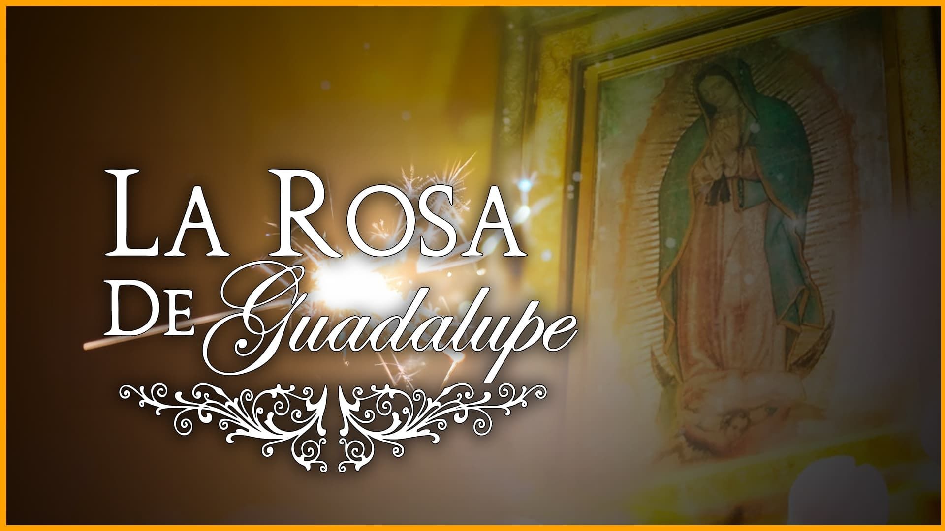 La rosa de Guadalupe background