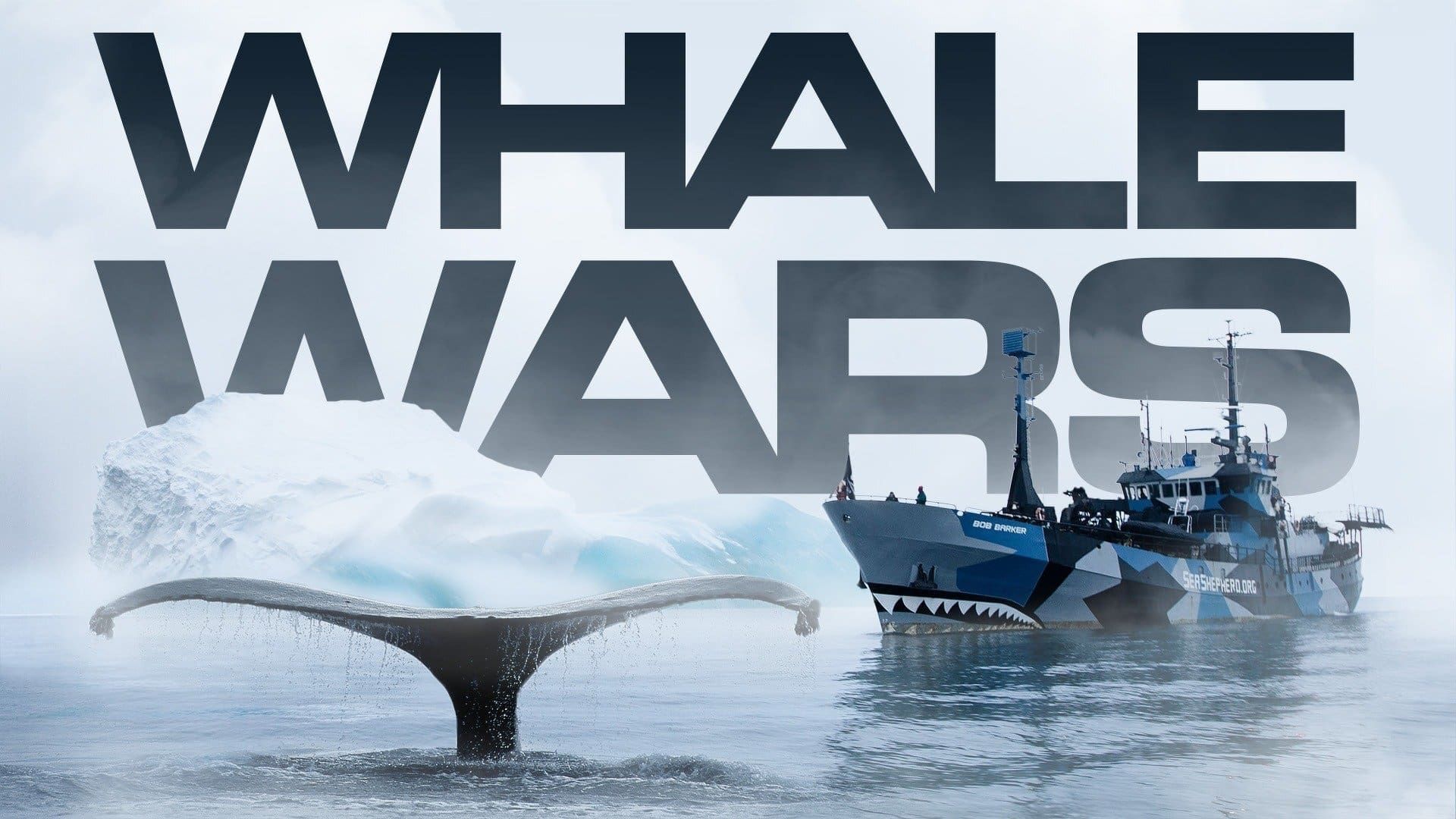 Whale Wars background