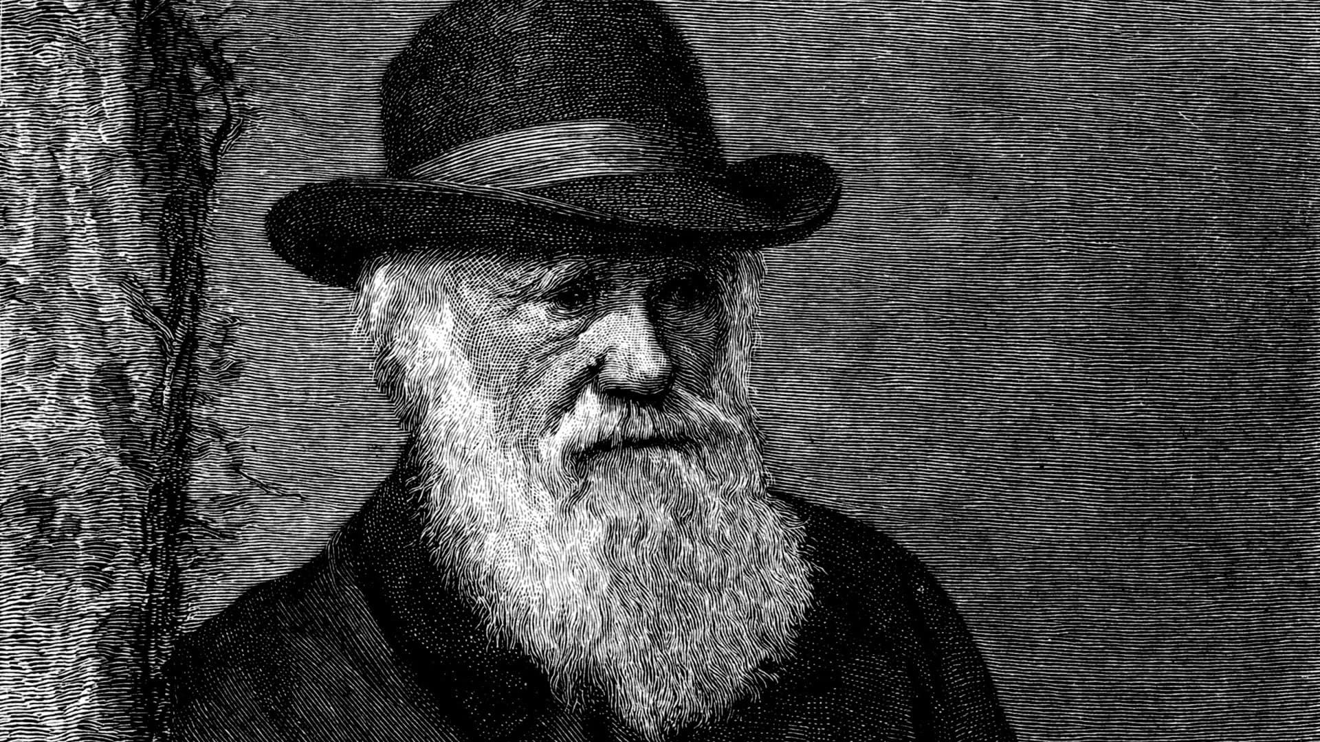 The Genius of Charles Darwin background