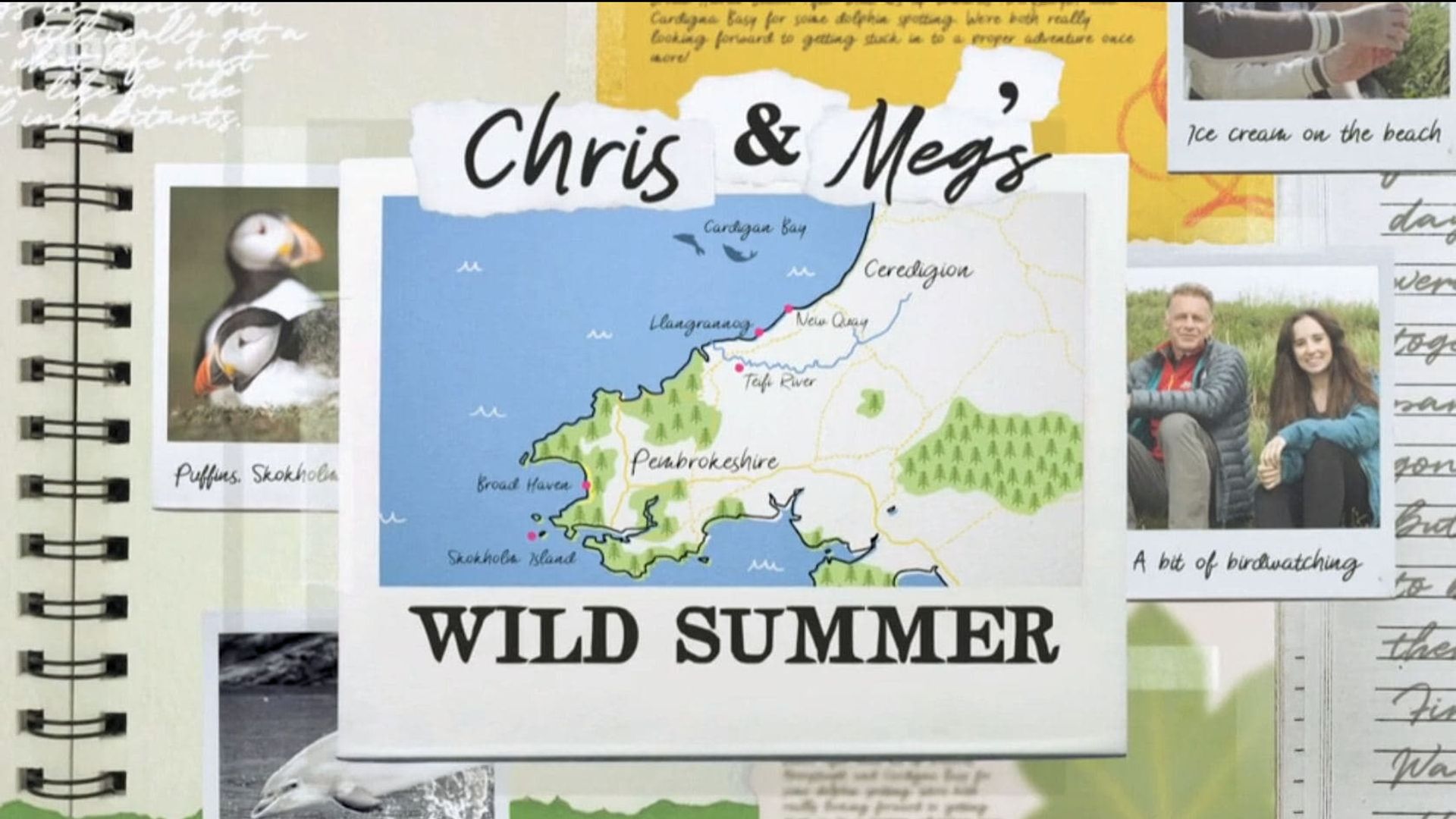 Chris and Meg's Wild Summer background