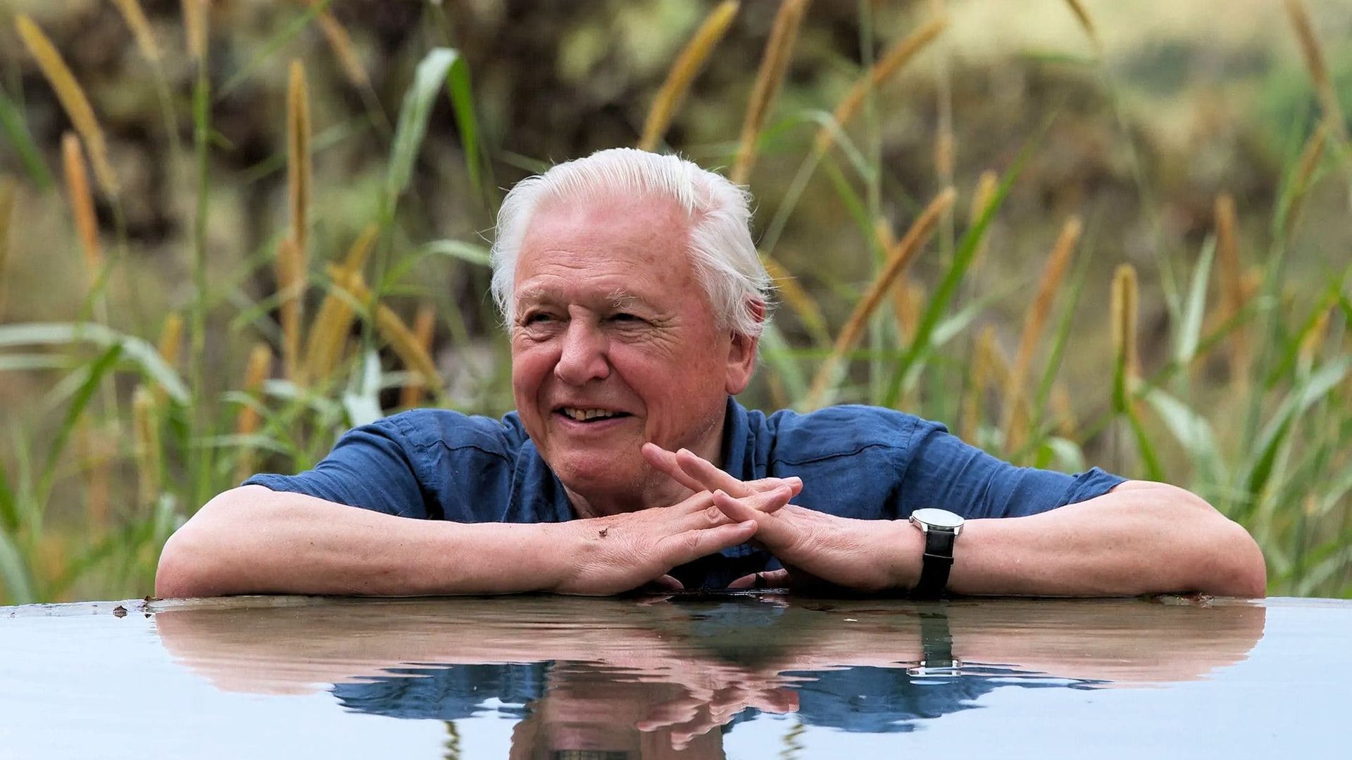 Attenborough's Global Adventure background