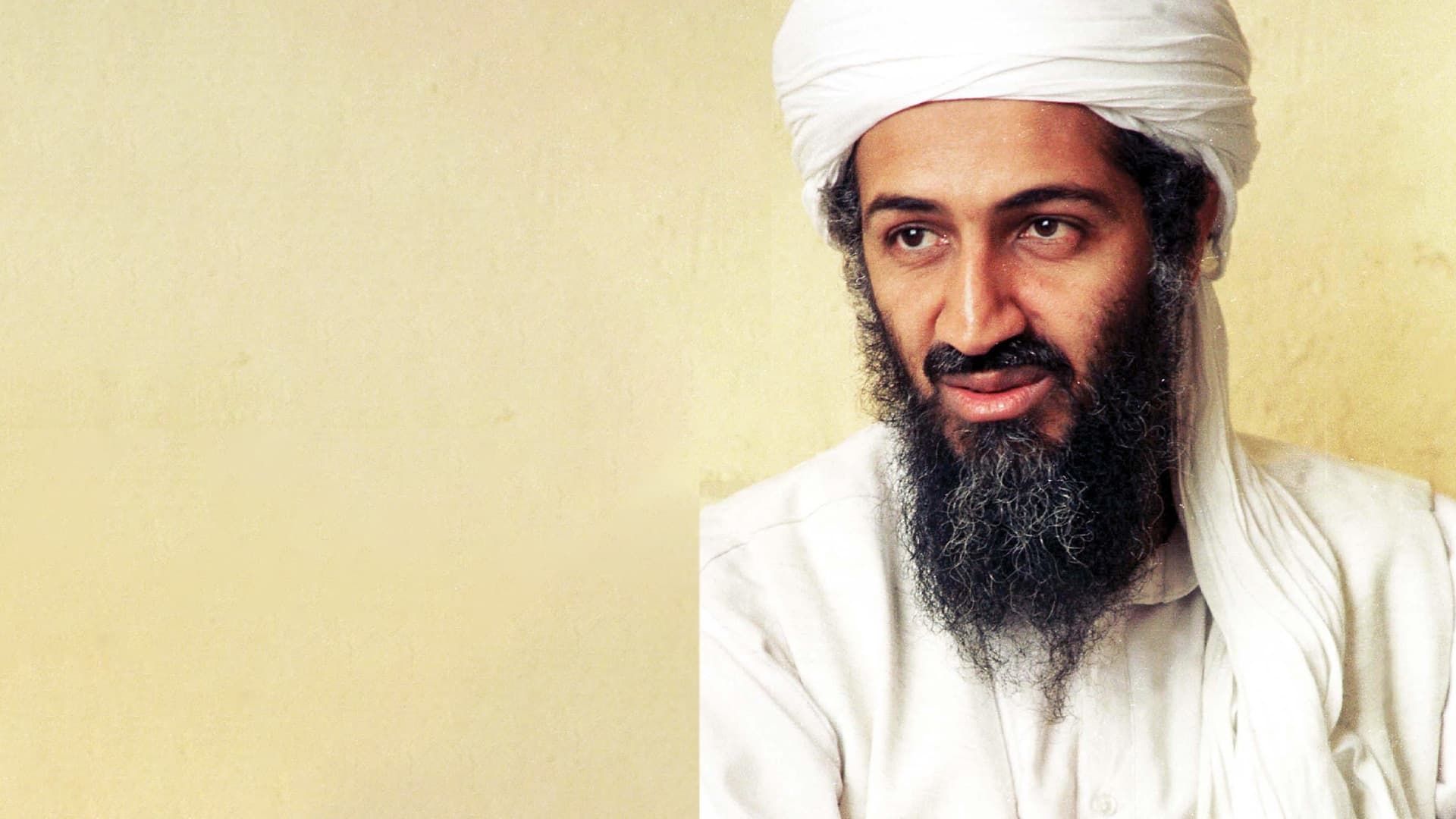Bin Laden: The Road to 9/11 background