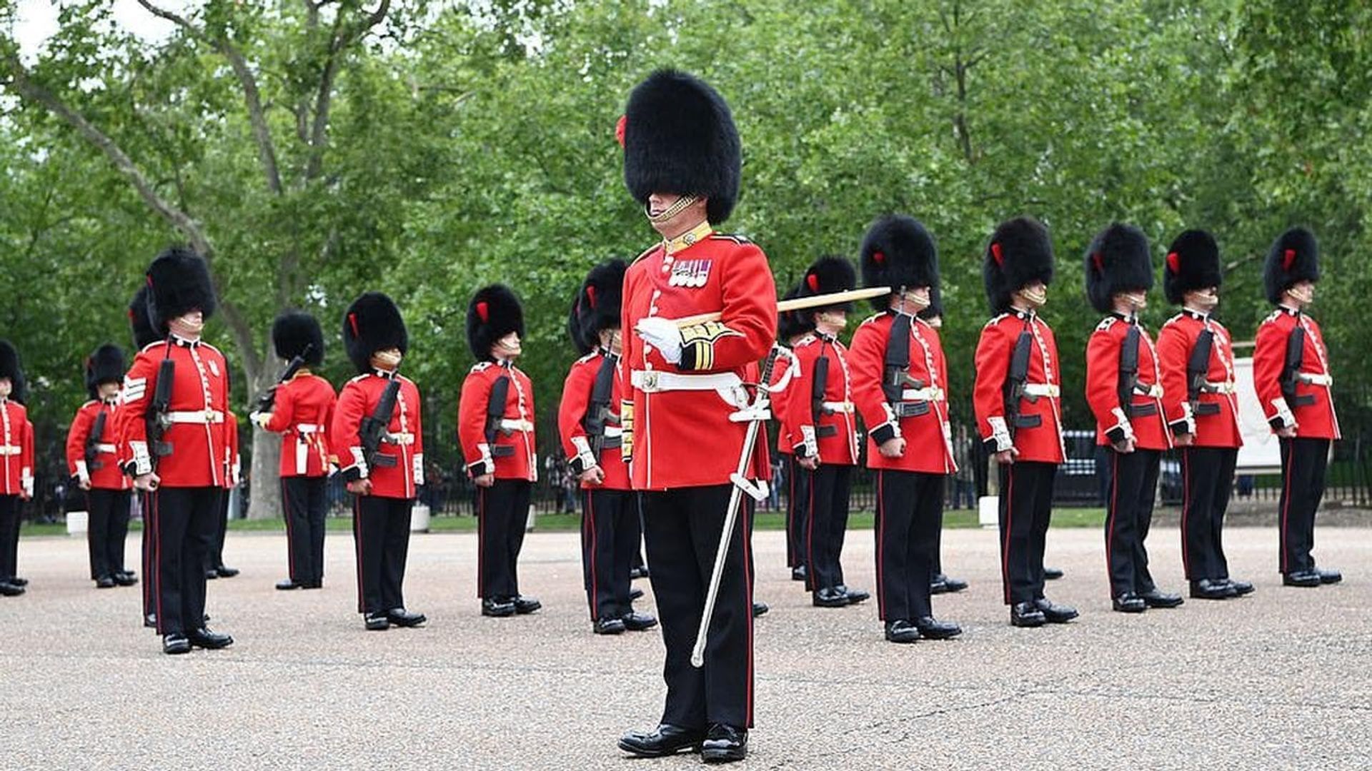 The Queen's Guards: A Year in Service background