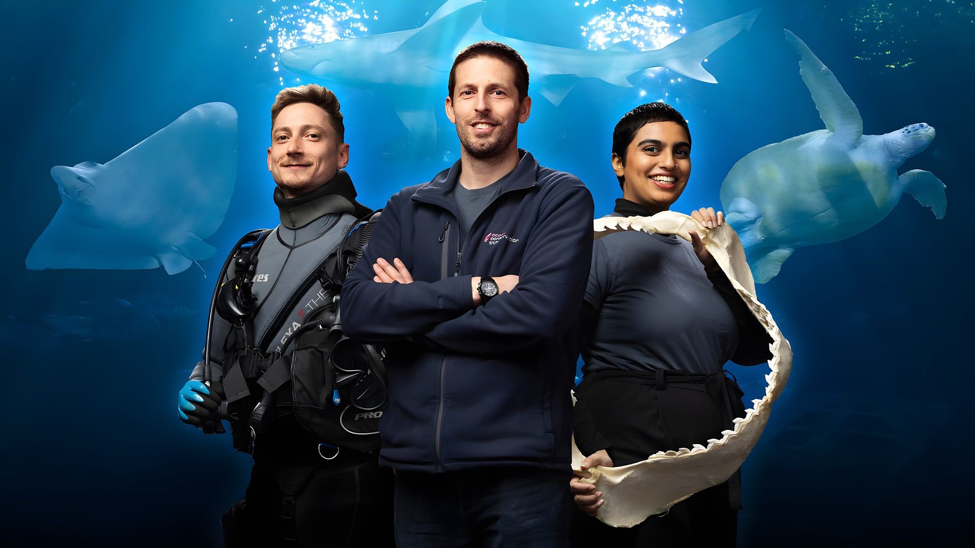 Secrets of the Aquarium background