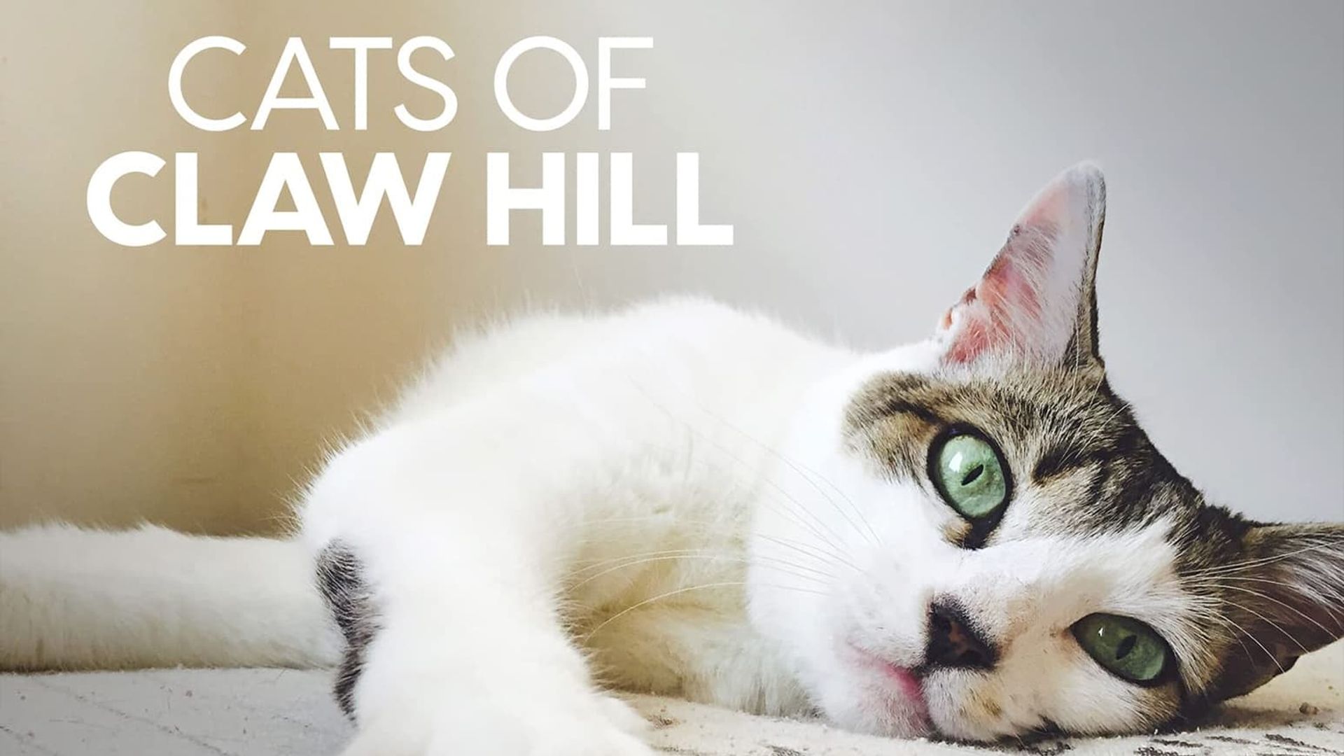Cats of Claw Hill background