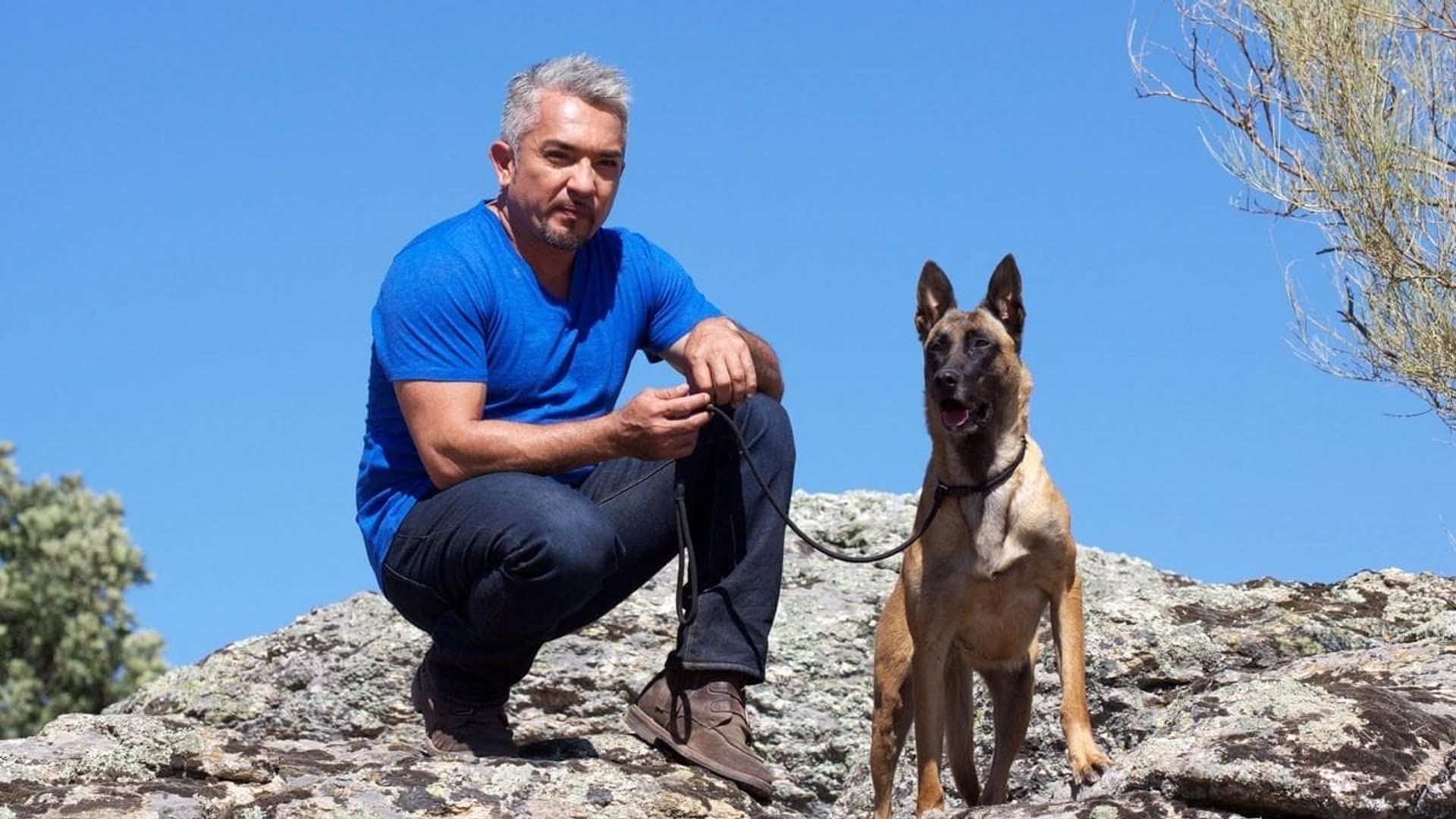 Cesar Millan's Leader of the Pack background