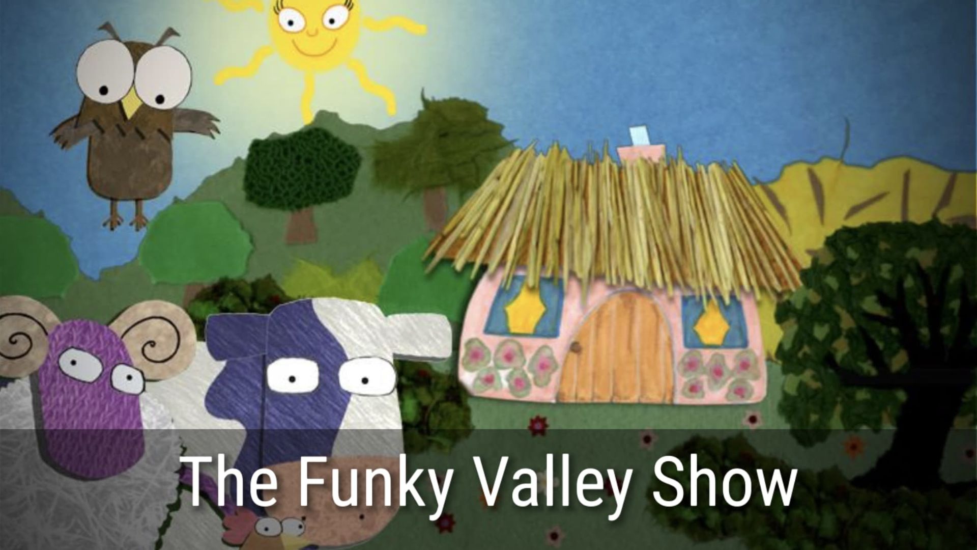 The Funky Valley Show background
