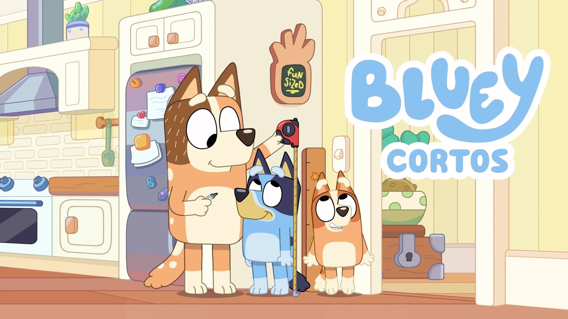 Bluey Minisodes background