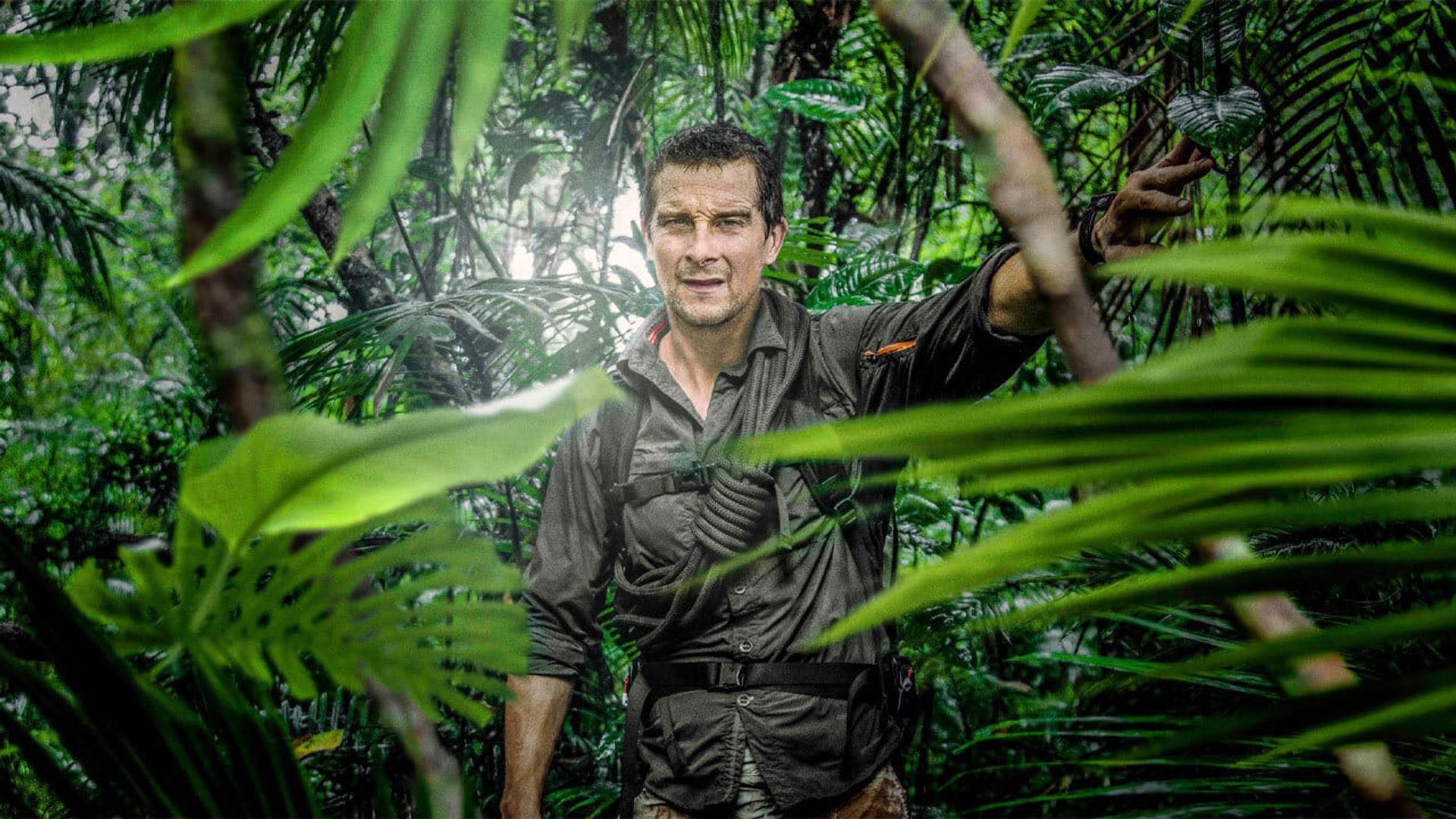 The Island with Bear Grylls background