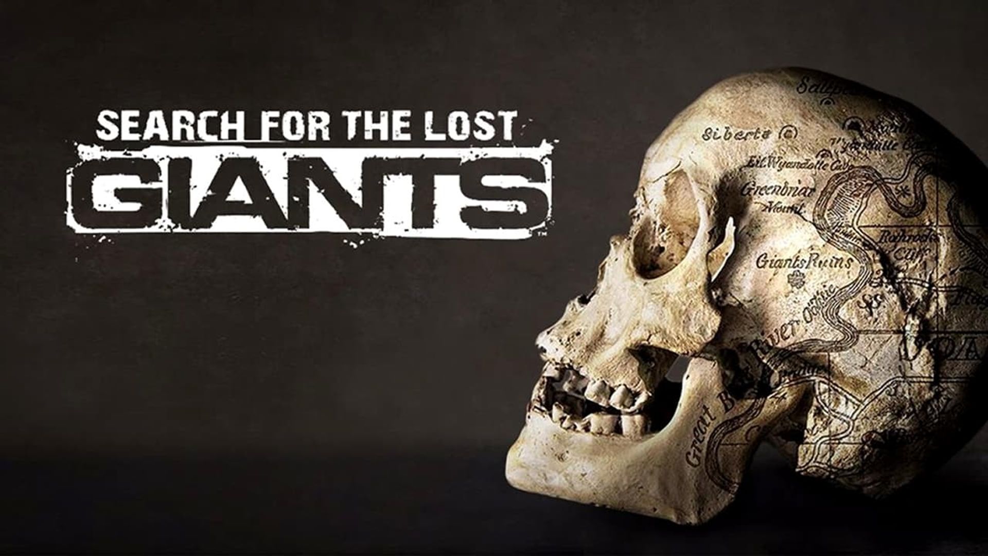Search for the Lost Giants background