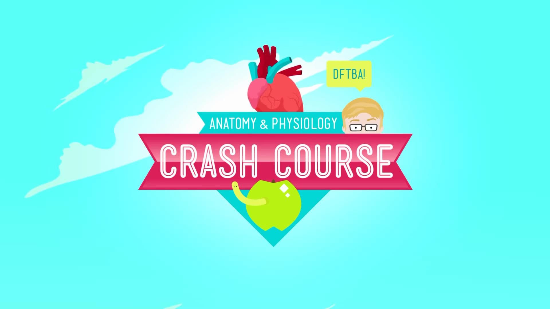 Crash Course: Anatomy & Physiology background