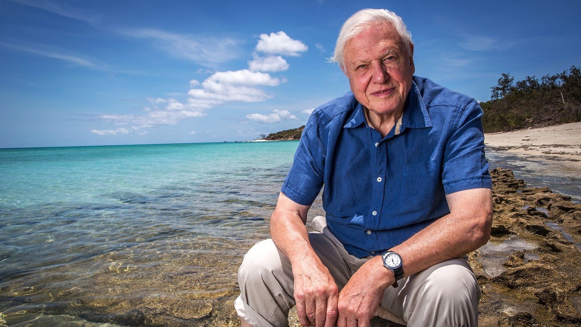 Great Barrier Reef with David Attenborough background