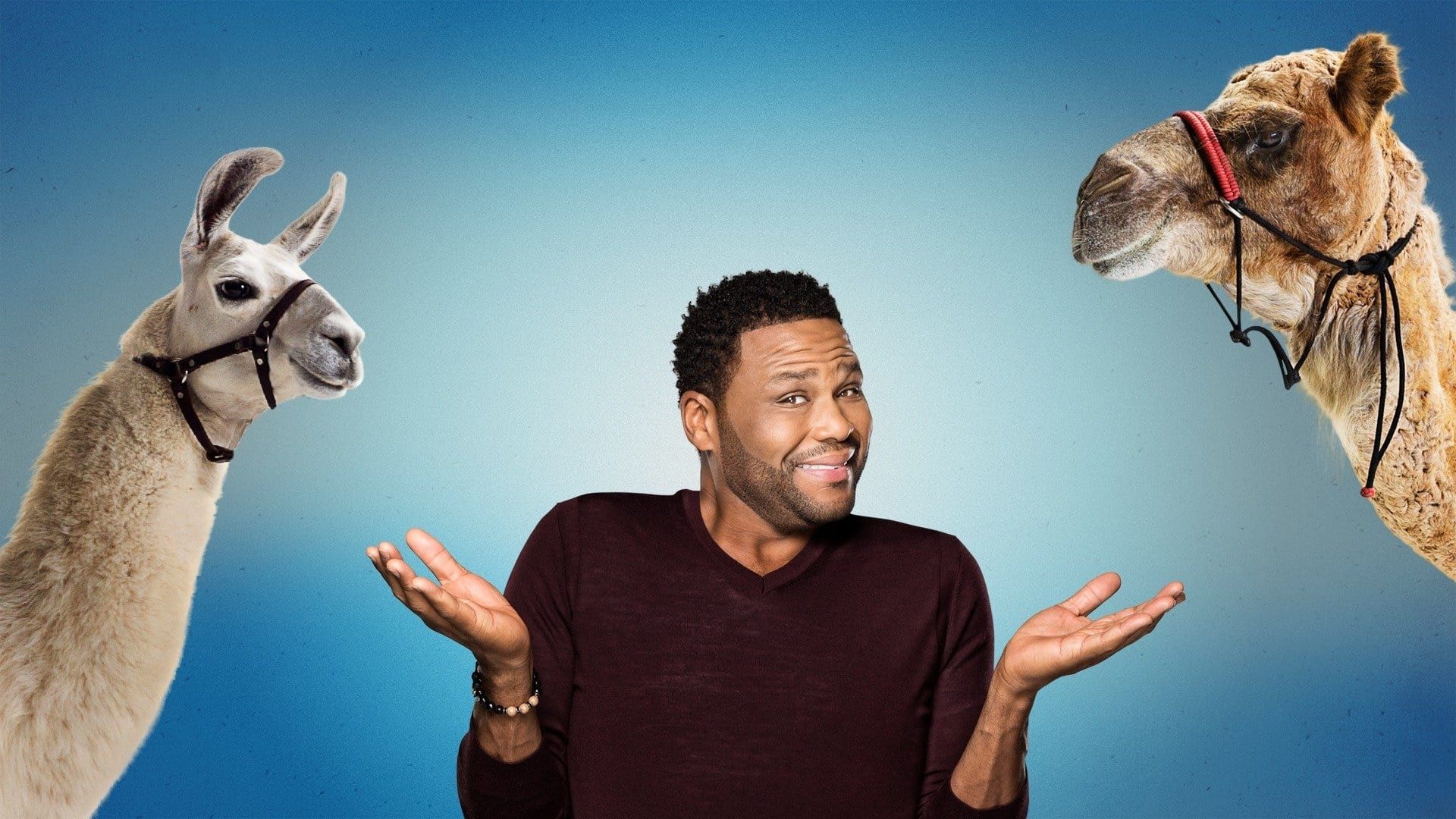 Animal Nation with Anthony Anderson background