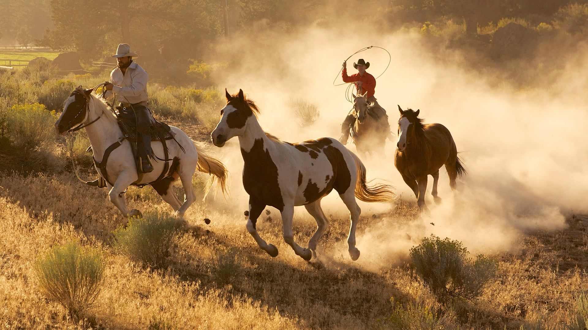 Wild West: America's Great Frontier background