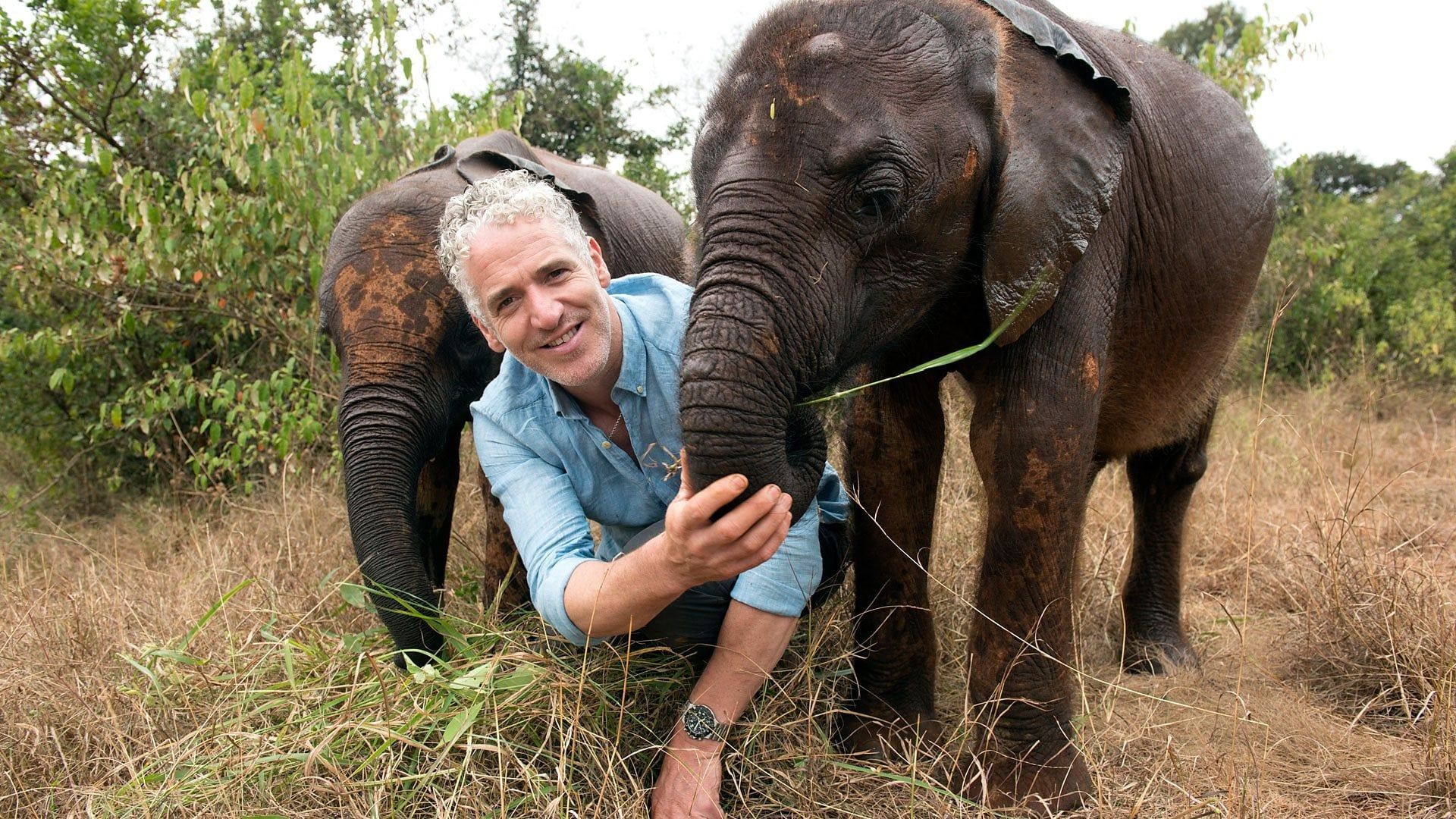 Gordon Buchanan: Elephant Family & Me background
