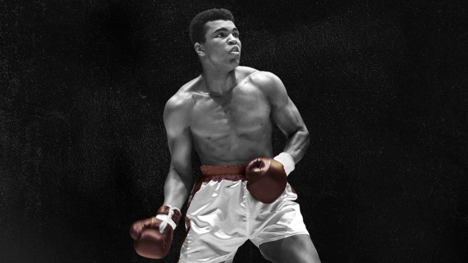 What's My Name: Muhammad Ali background