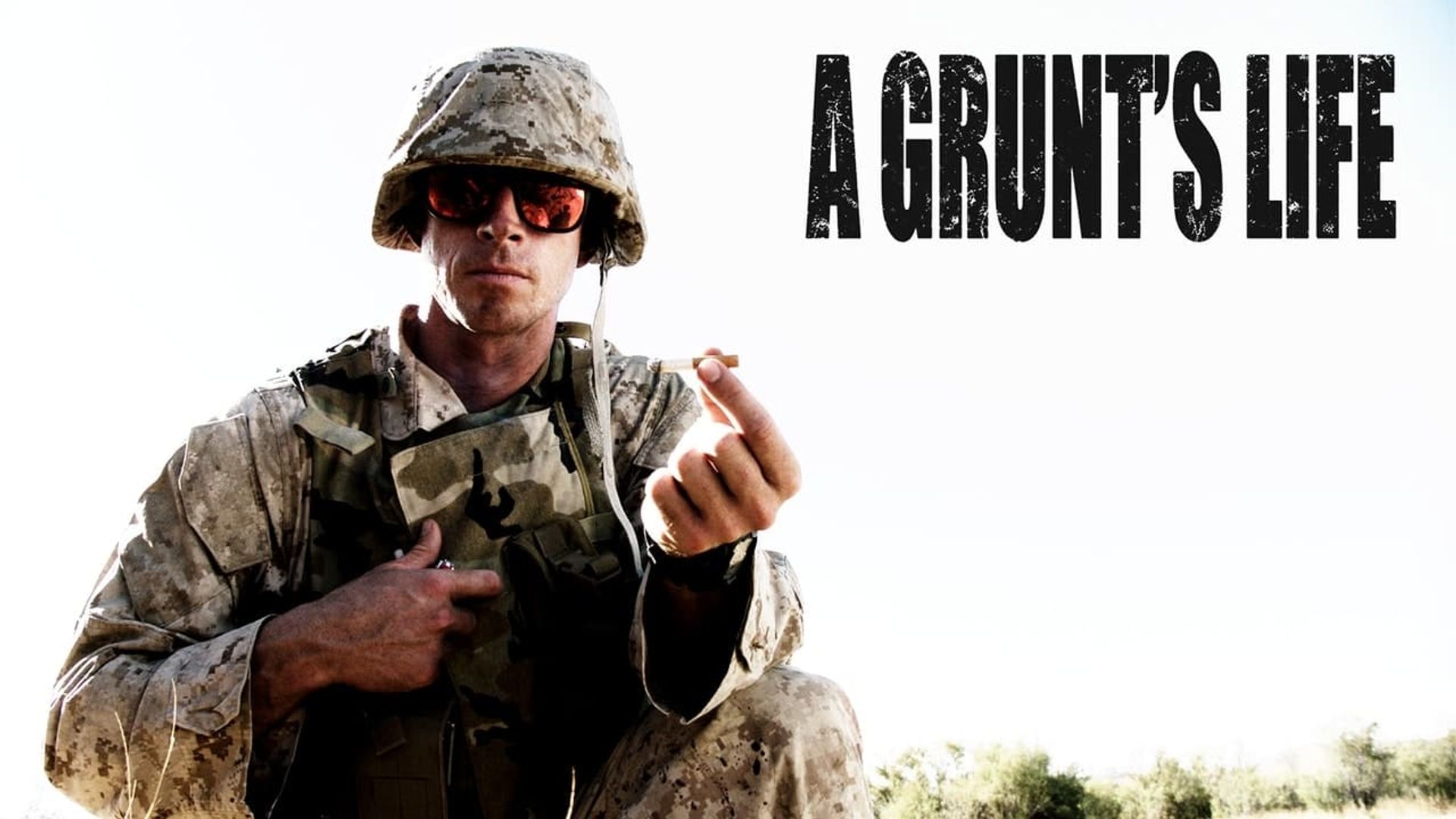 A Grunt's Life background