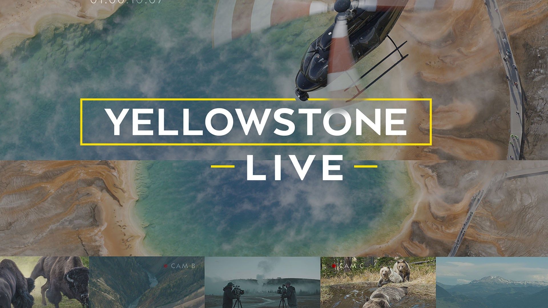 Yellowstone LIVE background