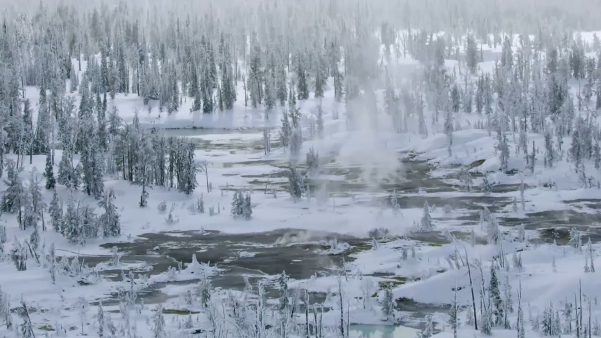 Epic Yellowstone background