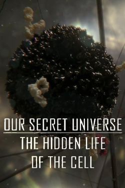 Our Secret Universe: The Hidden Life of the Cell