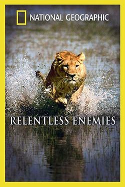 Relentless Enemies