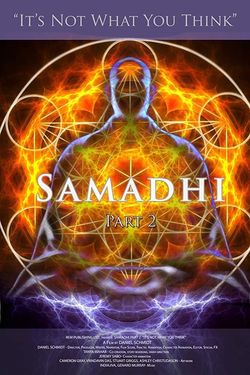 Samadhi Part 2: (It's Not What You Think)