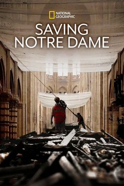 Saving Notre-Dame (2020) (TV)