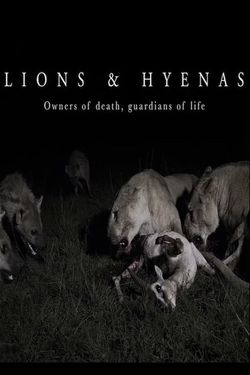 Lions and Hyenas: Owners of Death, Guardians of Life