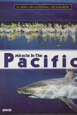 Miracle in the Pacific