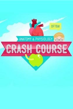 Crash Course: Anatomy & Physiology