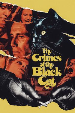 The Crimes of the Black Cat