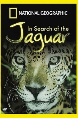 In Search of the Jaguar